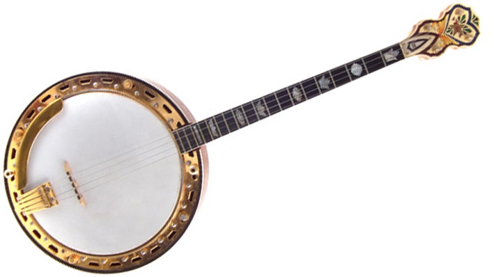 Vegavox banjo